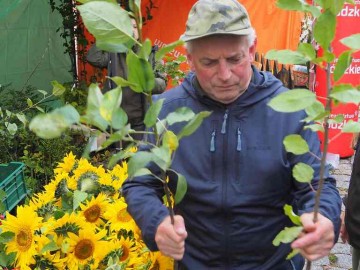 44. Święto Kwiatów, Owoców i Warzyw - w optymistycznym kolorze, 